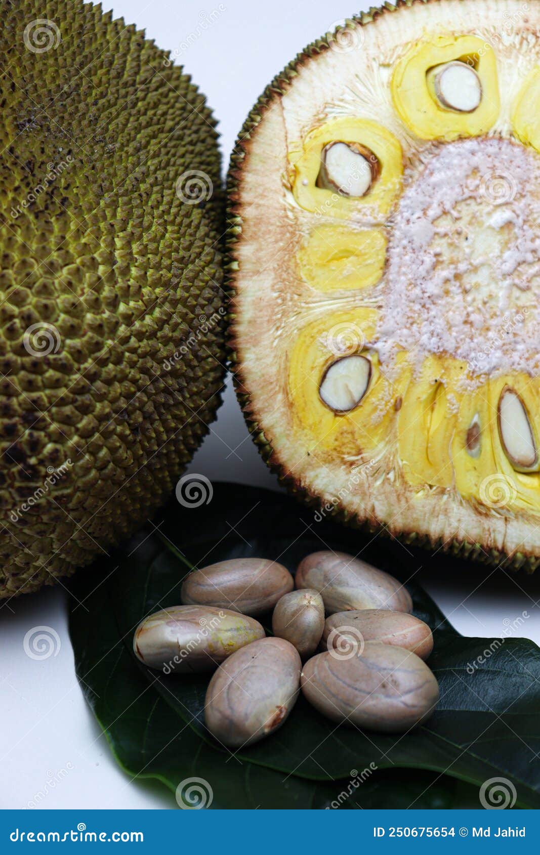 Jackfruit with Seed and Leaf for Eat Stock Photo Image of green