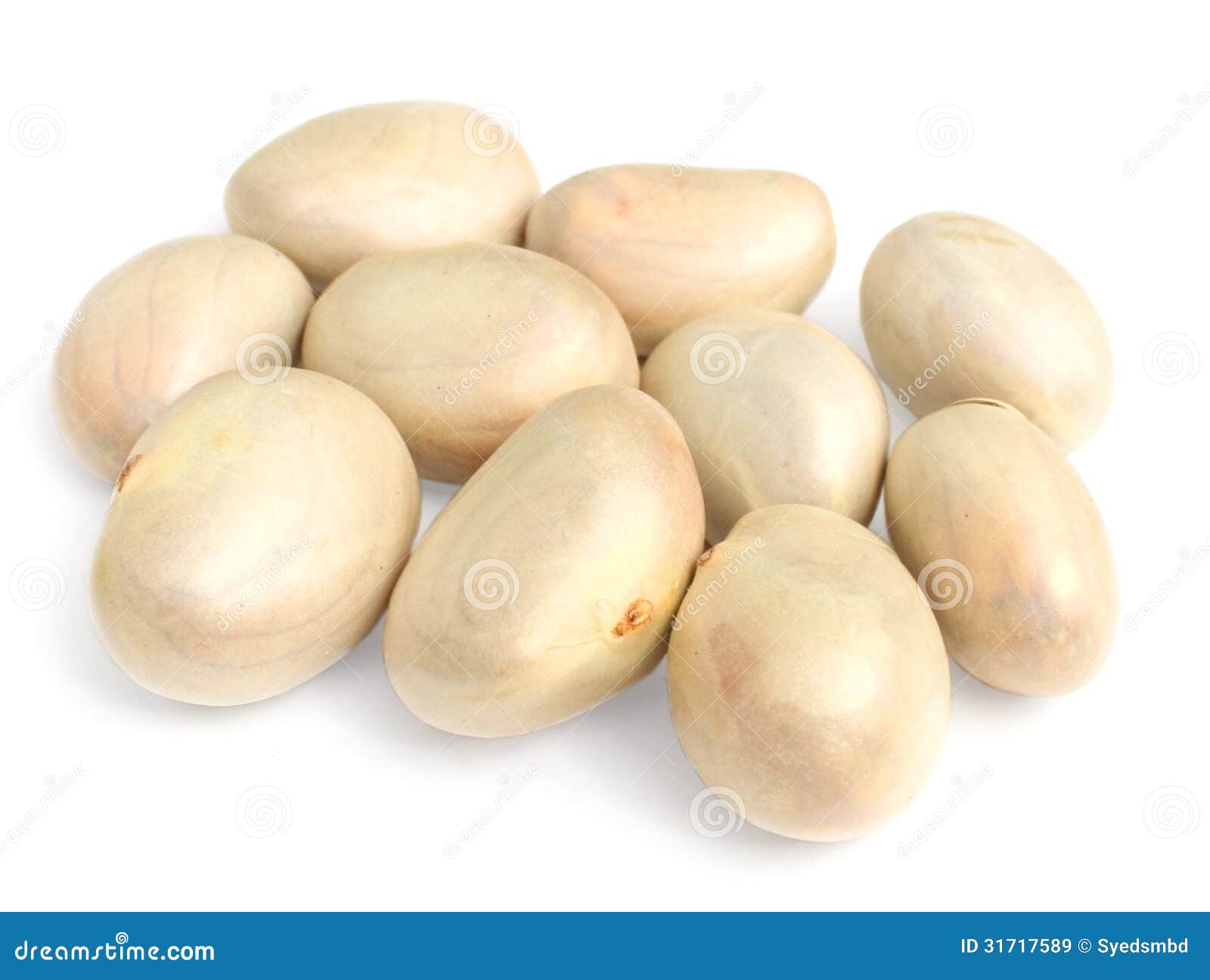 Jackfruit seeds stock image. Image of fresh, asian, juicy 31717589