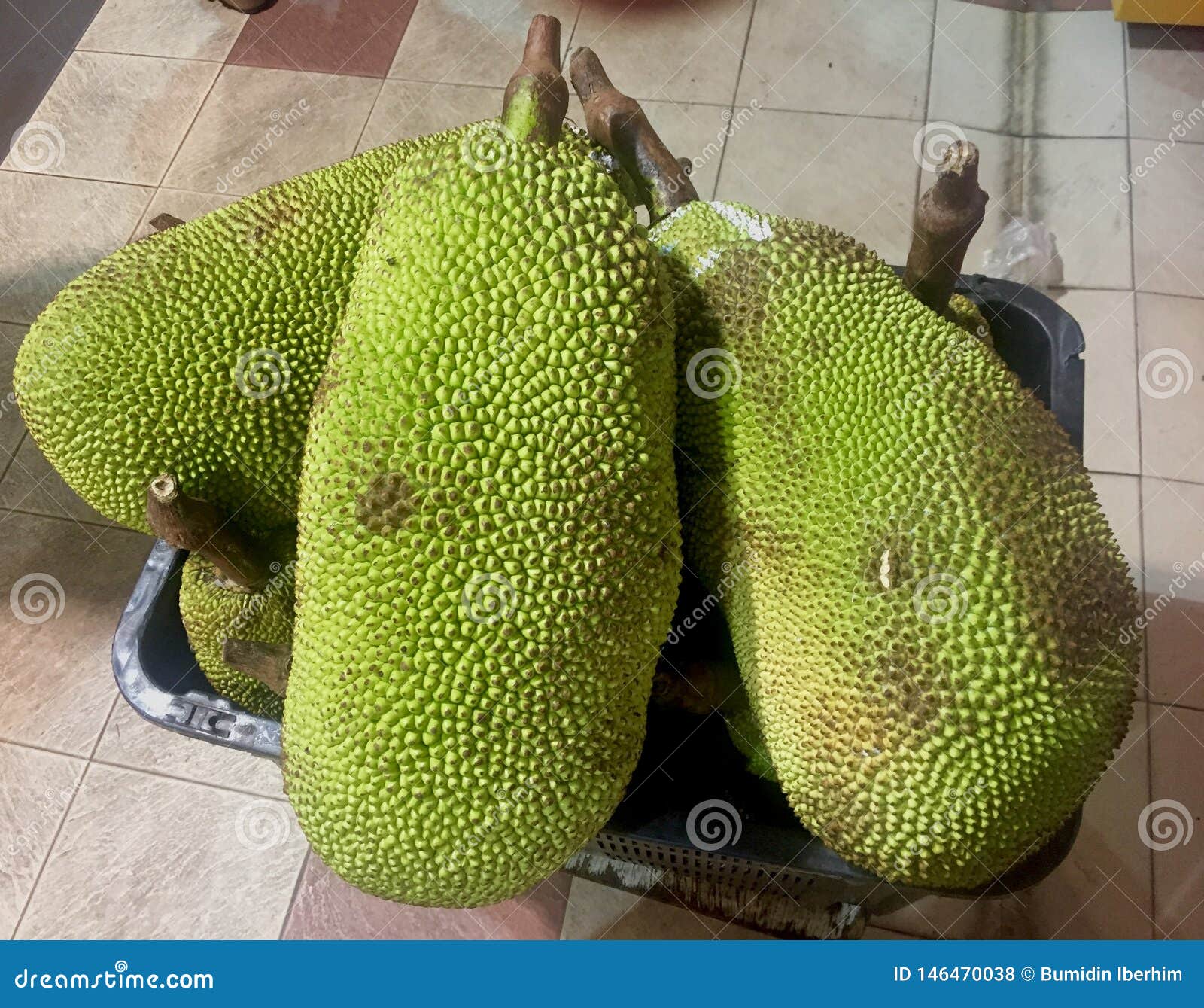 Jackfruit stock photo. Image of superfood, market, fruit 146470038