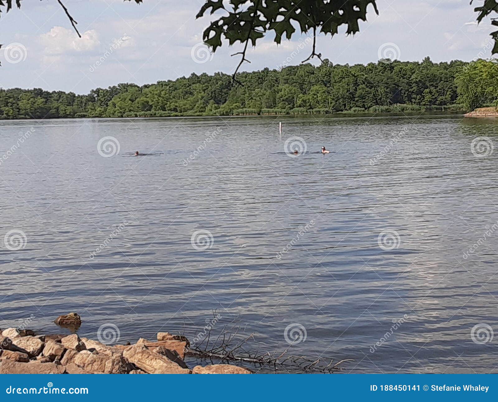 JACKIE& X27;S BRANCH, REND LAKE BEACH Stock Image Image of branch