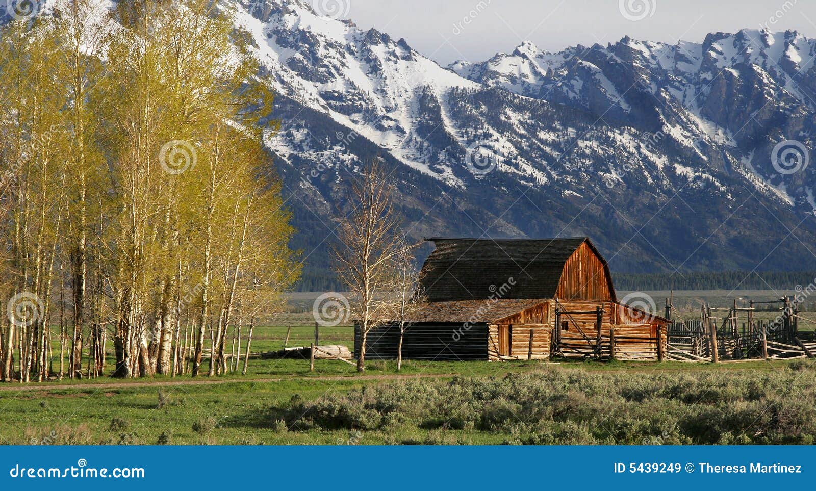 Jackson Hole Famous Barn stock image. Image of national 5439249