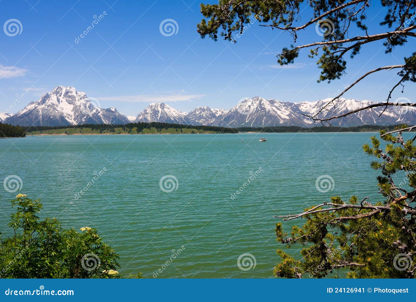 Jackson Lake in stock image. Image of mountain, summer 24126941