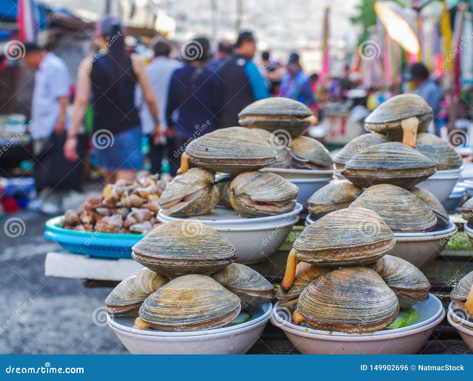Jagalchi Market Fish Market In Pusan Busan South Korea Amazing Variety Of Fish Clams Etc Stock Photo Image Of Culture Group Jagalchi Market Fish Market In Pusan Busan South Korea Amazing Variety Of Fish Clams Etc Stock Photo Image Of Culture Group