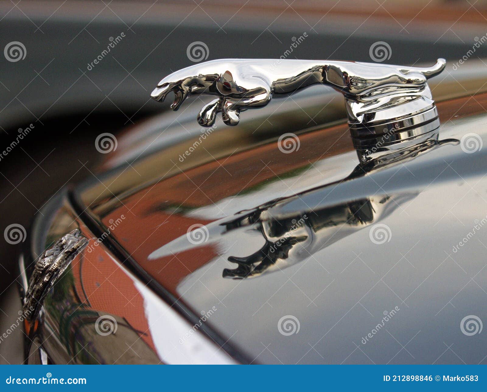 https://thumbs.dreamstime.com/z/jaguar-auto-leaper-motorhaube-ornament-im-laufe-der-jahre-viele-modelle-haben-die-ber%C3%BChmte-verchromt-springen-traditionell-als-212898846.jpg