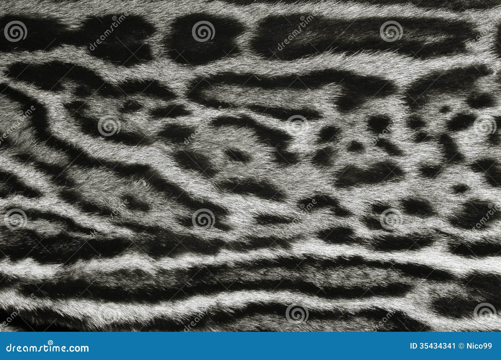 Jaguar fur texture stock image. Image of coats, africa - 35434341