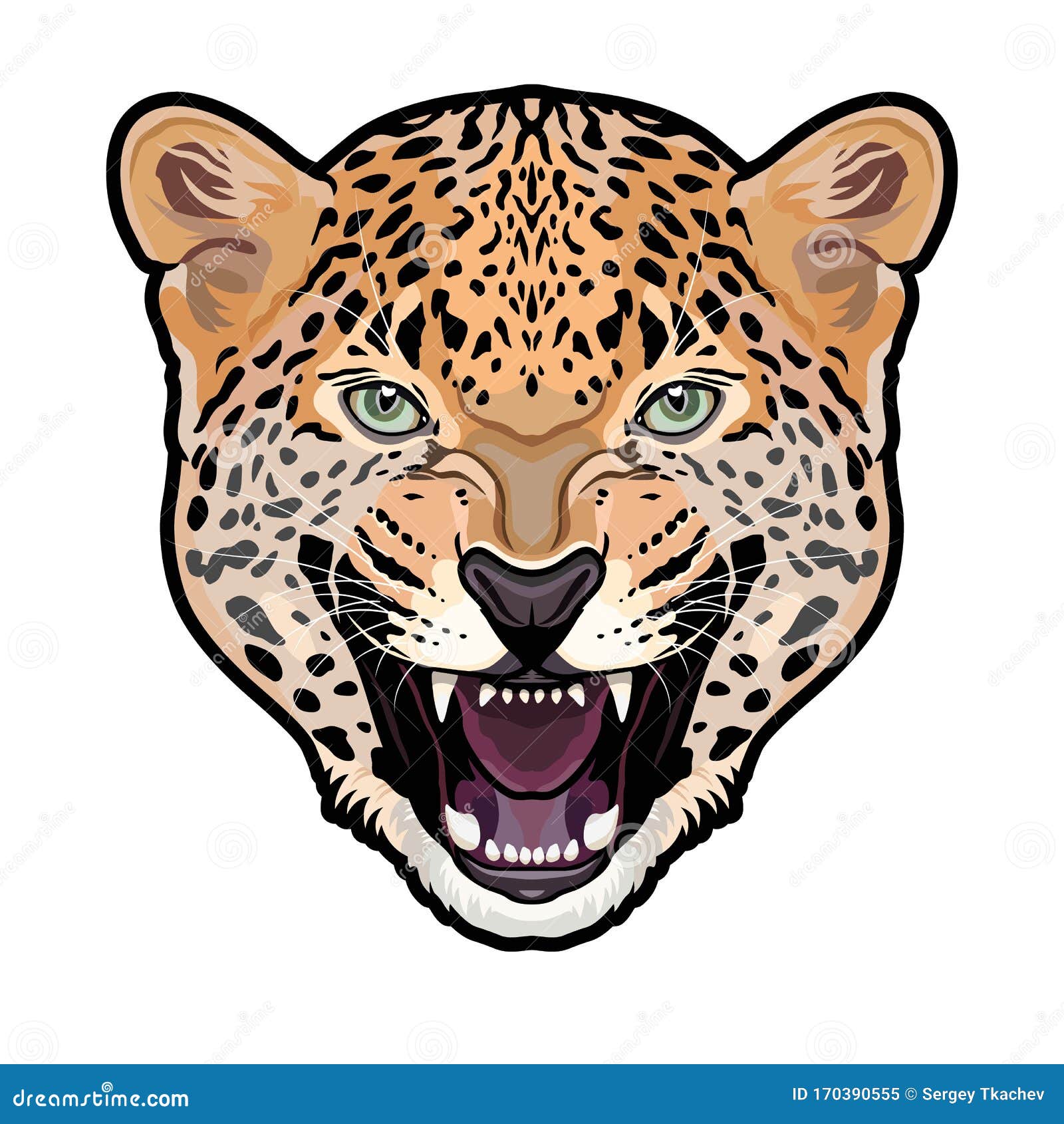 Jaguar Head Symmetrical Colored Illustration Isolated Background Stock ...