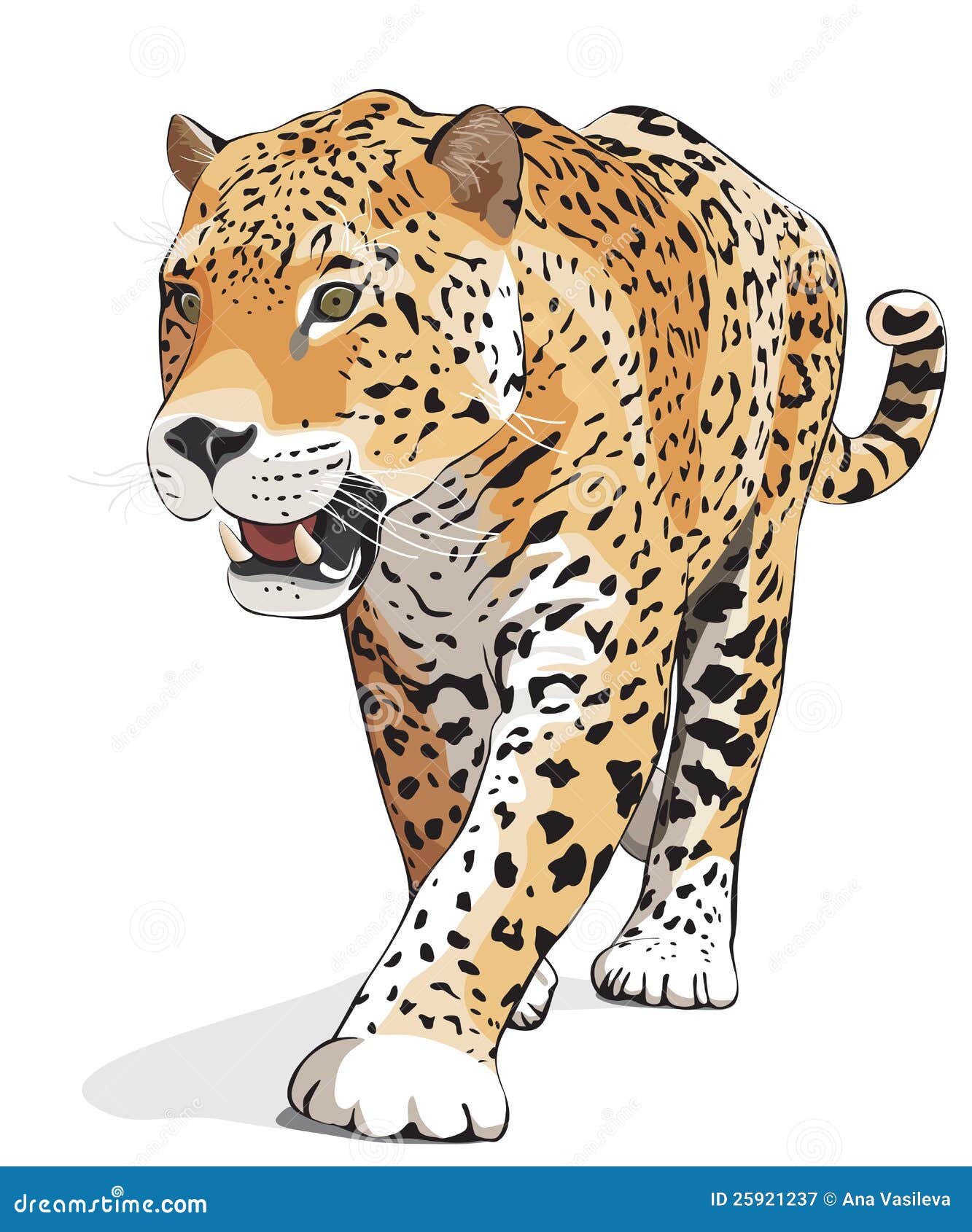 jaguar - , , shadow