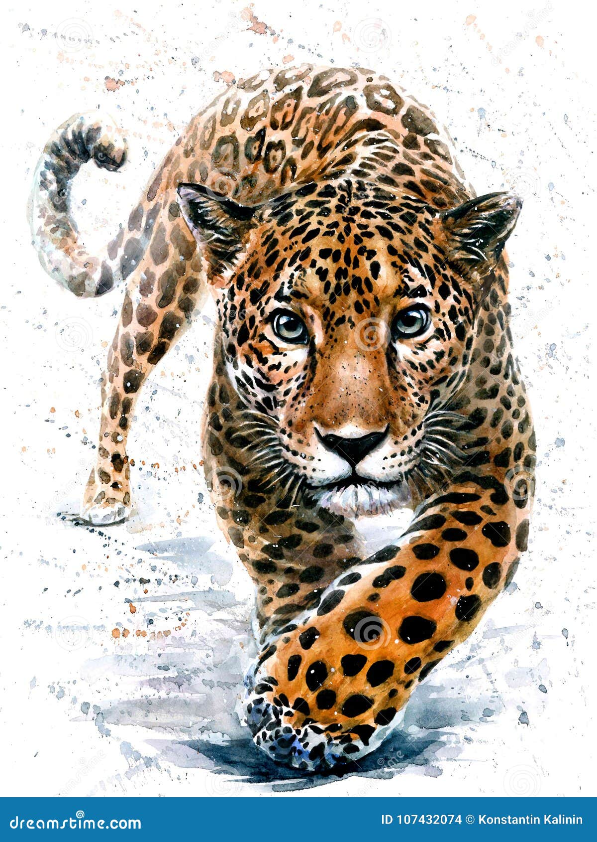 Jaguar Watercolor Predator Animals Wildlife Stock Photo Image Of