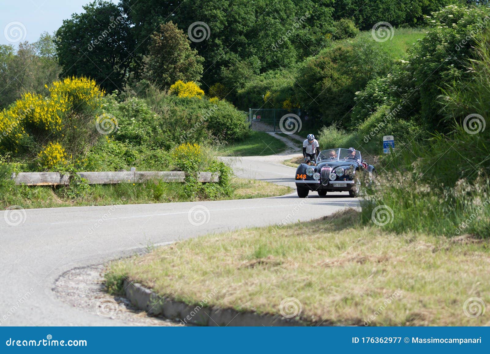 JAGUAR XK 120 OTS 1952 On An Old Racing Car In Rally Mille ...