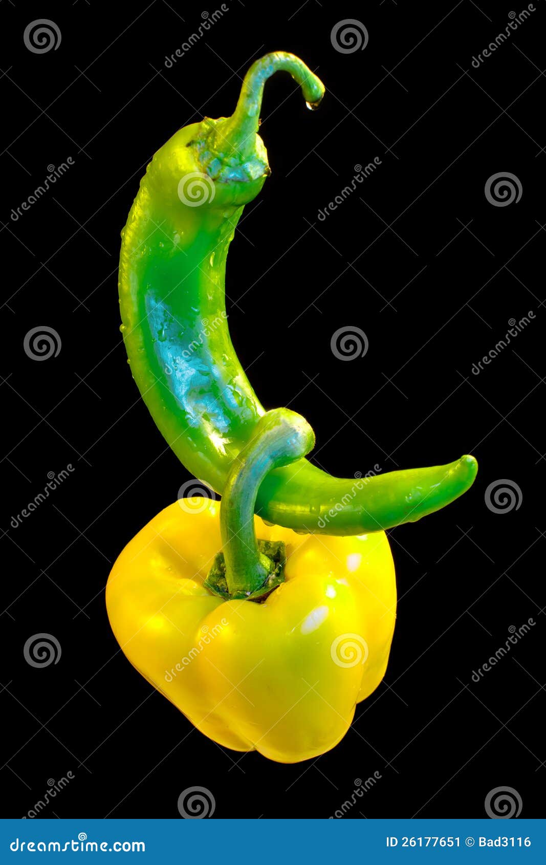Jalapeno and Bell Pepper on Black Stock Image Image of studio, bell 26177651