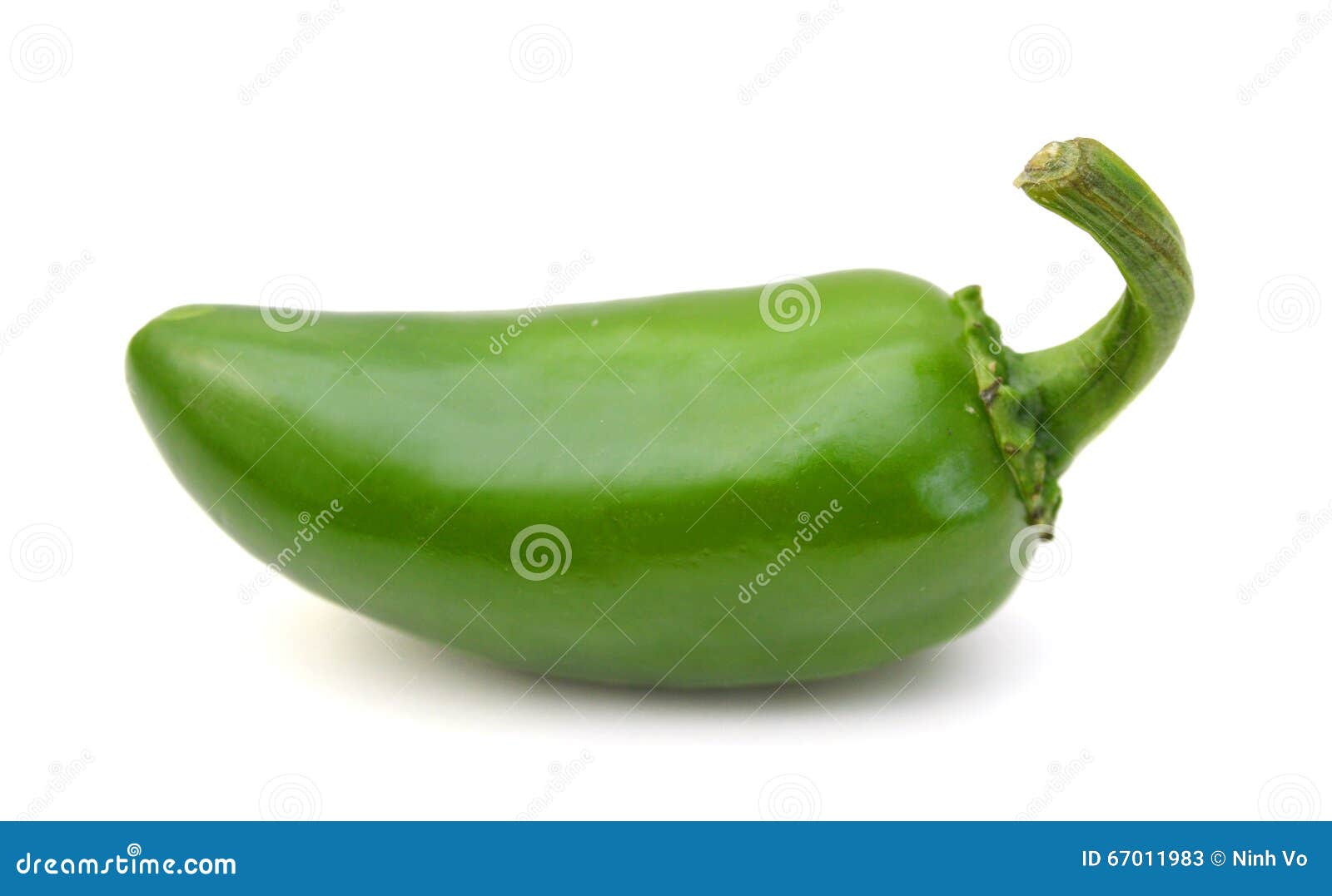 Jalapeno Pepper stock image. Image of isolation, mexico 67011983