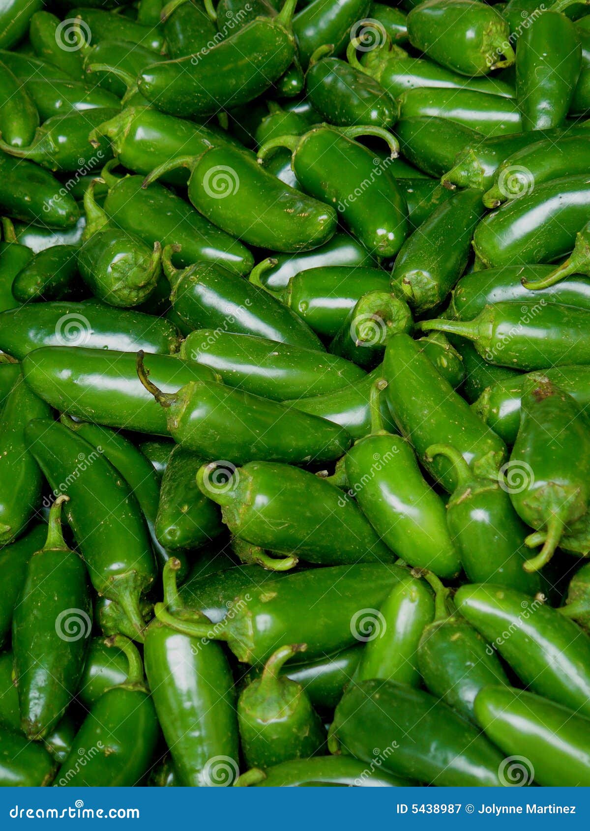 Jalapeno Peppers stock image. Image of grocery, farm, food 5438987