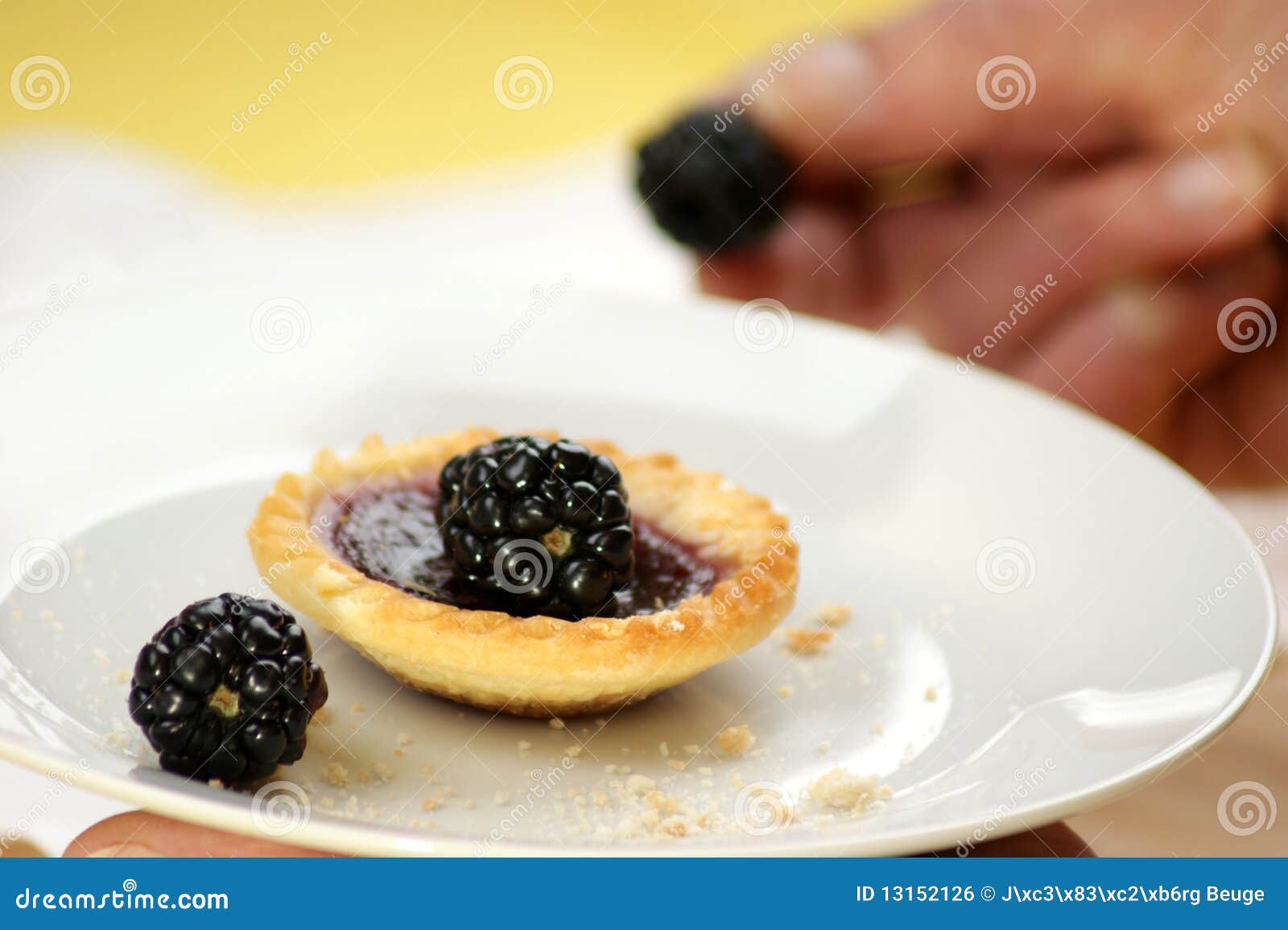 Jam Tarts with Sweet Blackberries Stock Photo Image of cooking, tart