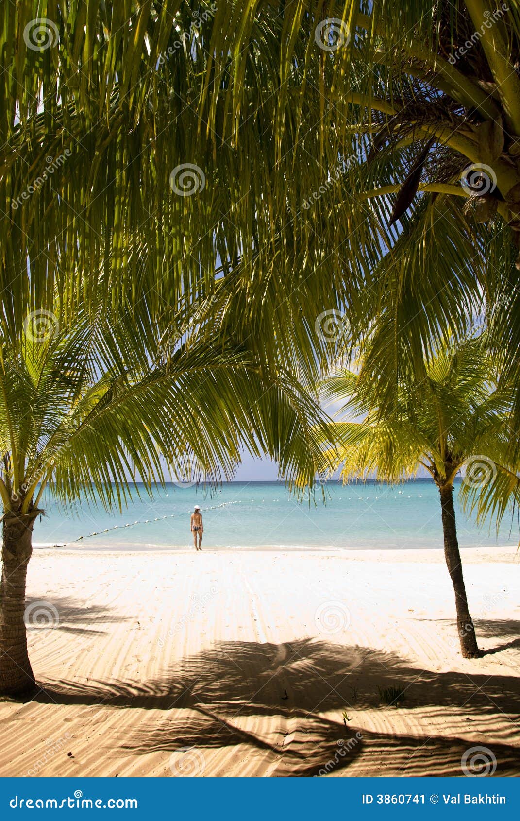 10,838 Jamaica Beach Stock Photos