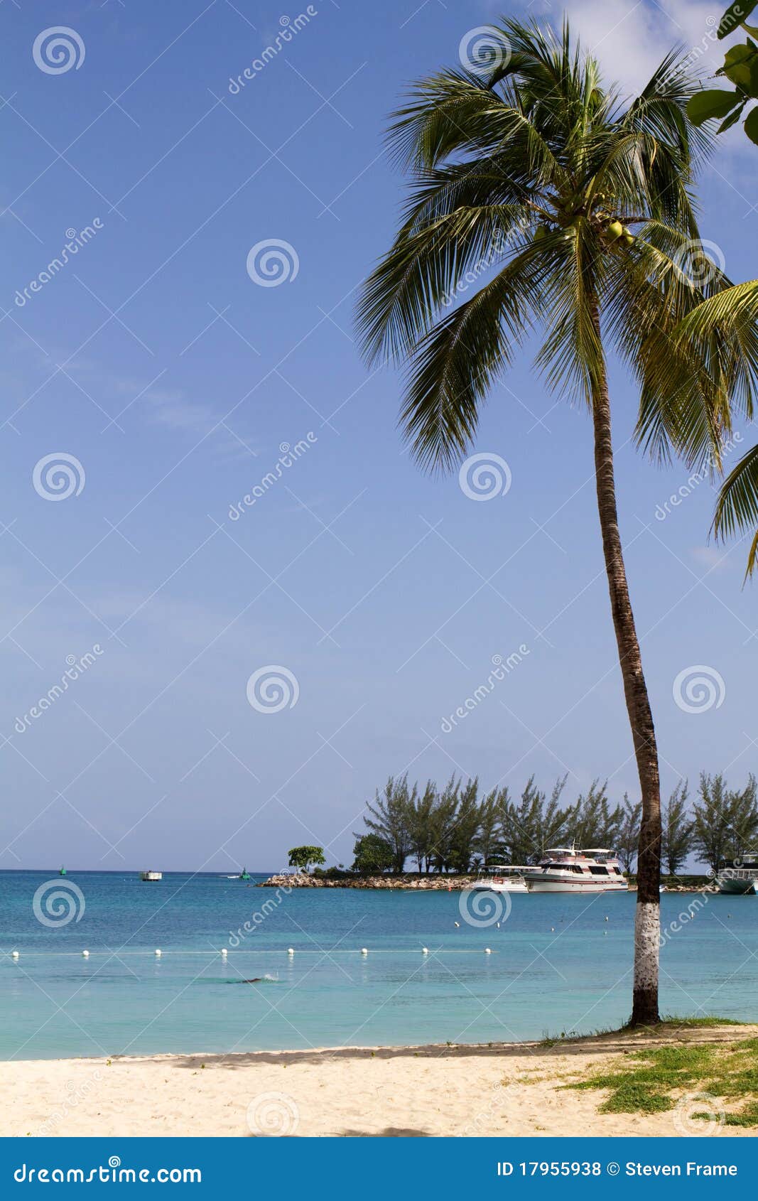 10,838 Jamaica Beach Stock Photos photo