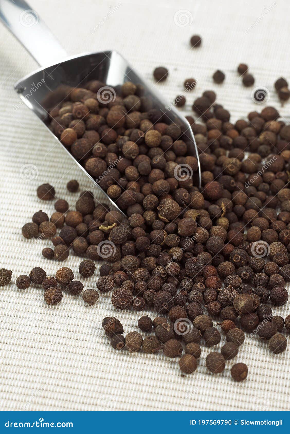 Jamaica Pepper, Peper Nigrum Stock Photo Image of white, indoor