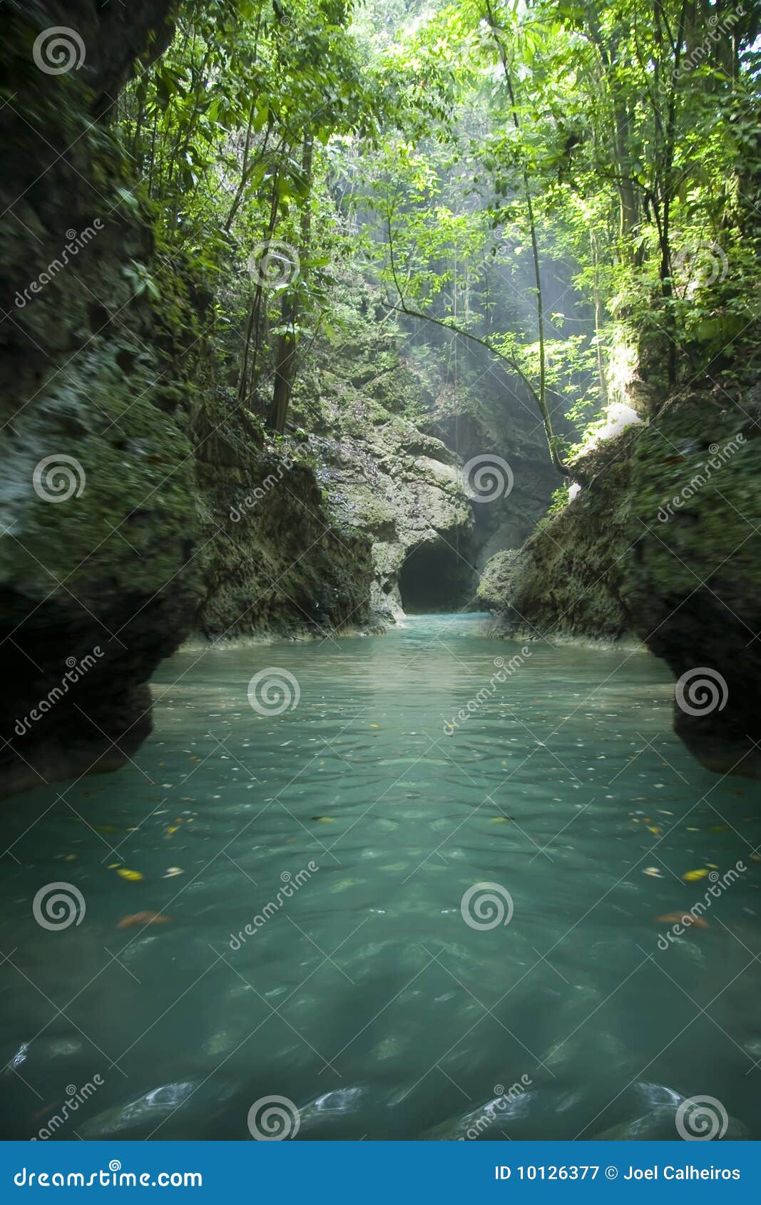 jamaica river