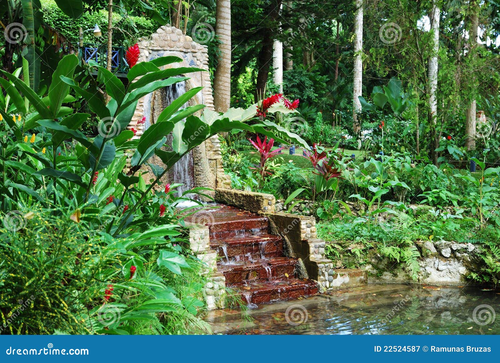 Jamaica S Gardens Stock Image Image Of Tourism Water 22524587