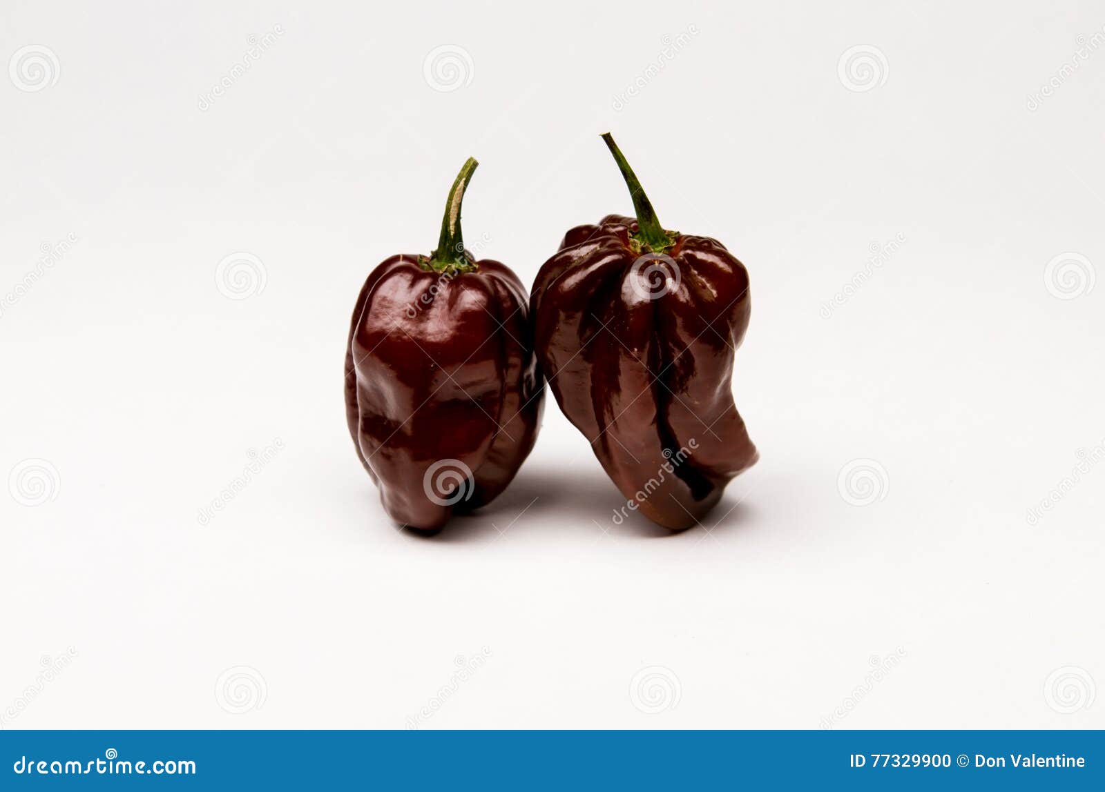 Jamaican Hot Chocolate Pepper Stock Photo Image of mustard, pepper