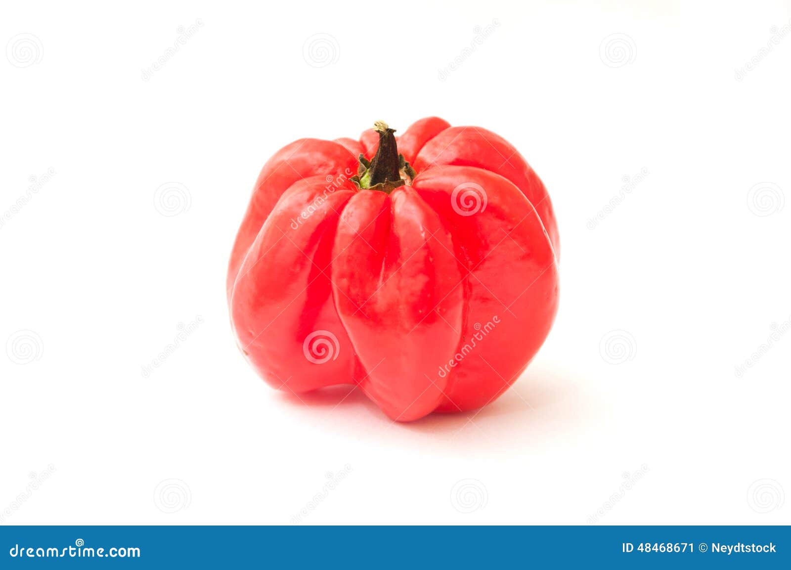 Jamaican pepper stock image. Image of chili, space, fresh 48468671