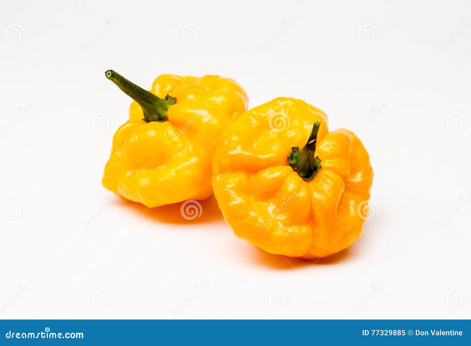 Jamaican Scotch Hot Peppers Stock Image Image of mildly, green