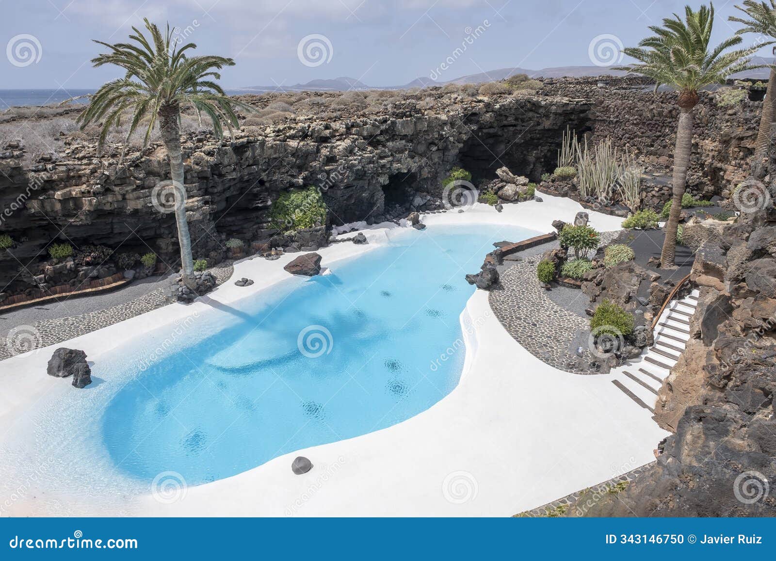 jameos del agua pool, garden decorated with volcanic rocks, ed by cesar manrique in volcanic lava tunnel, lanzarote, spain