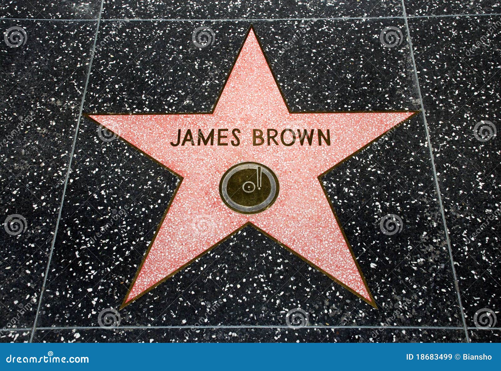 The James Brown star editorial stock image. Image of award 18683499