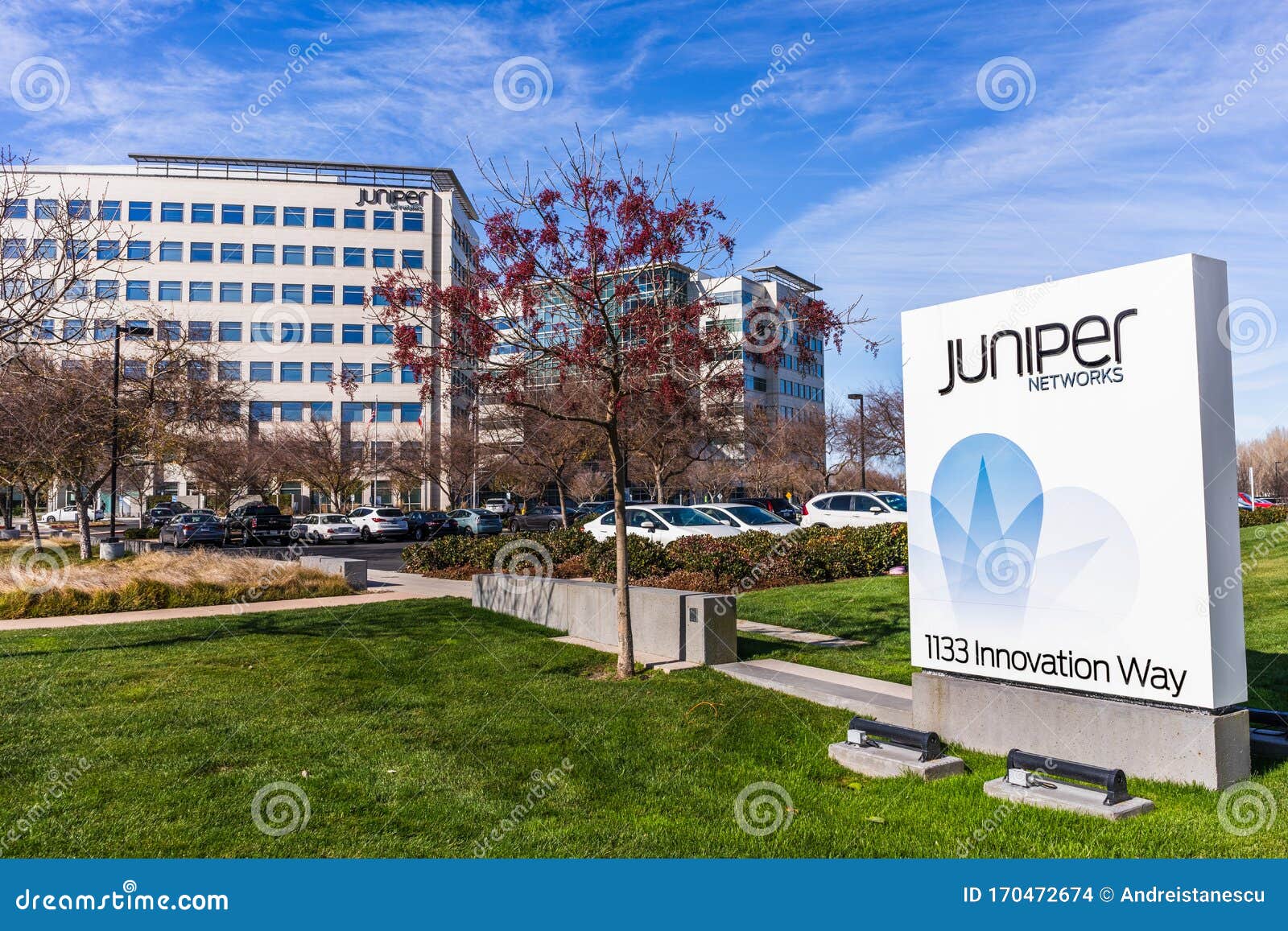 juniper networks chairman mills