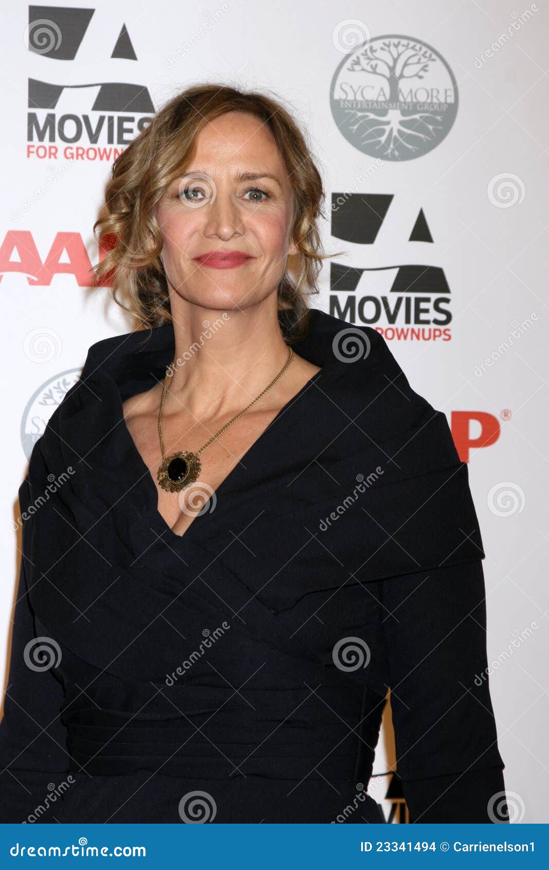 Janet Mcteer editorial stock image. Image of janet, movies - 23341494