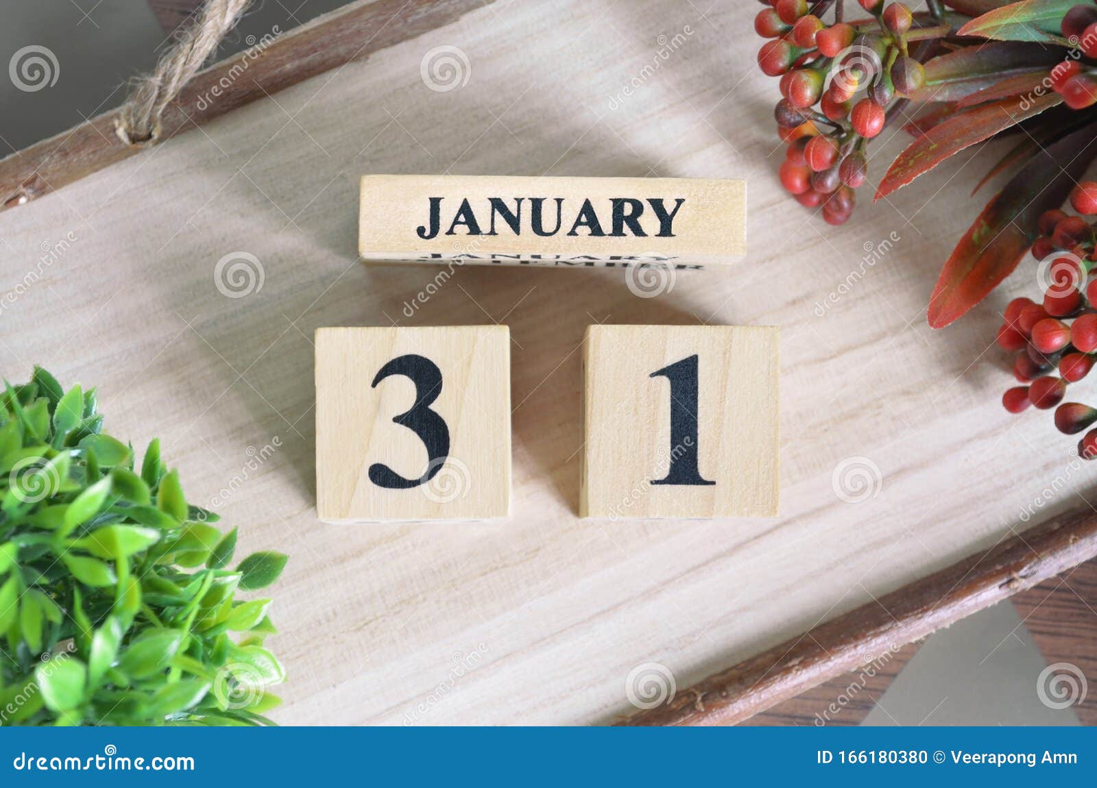 31 Janvier Date Du Mois De Janvier Photo stock - Image of nature, fête:  166180380