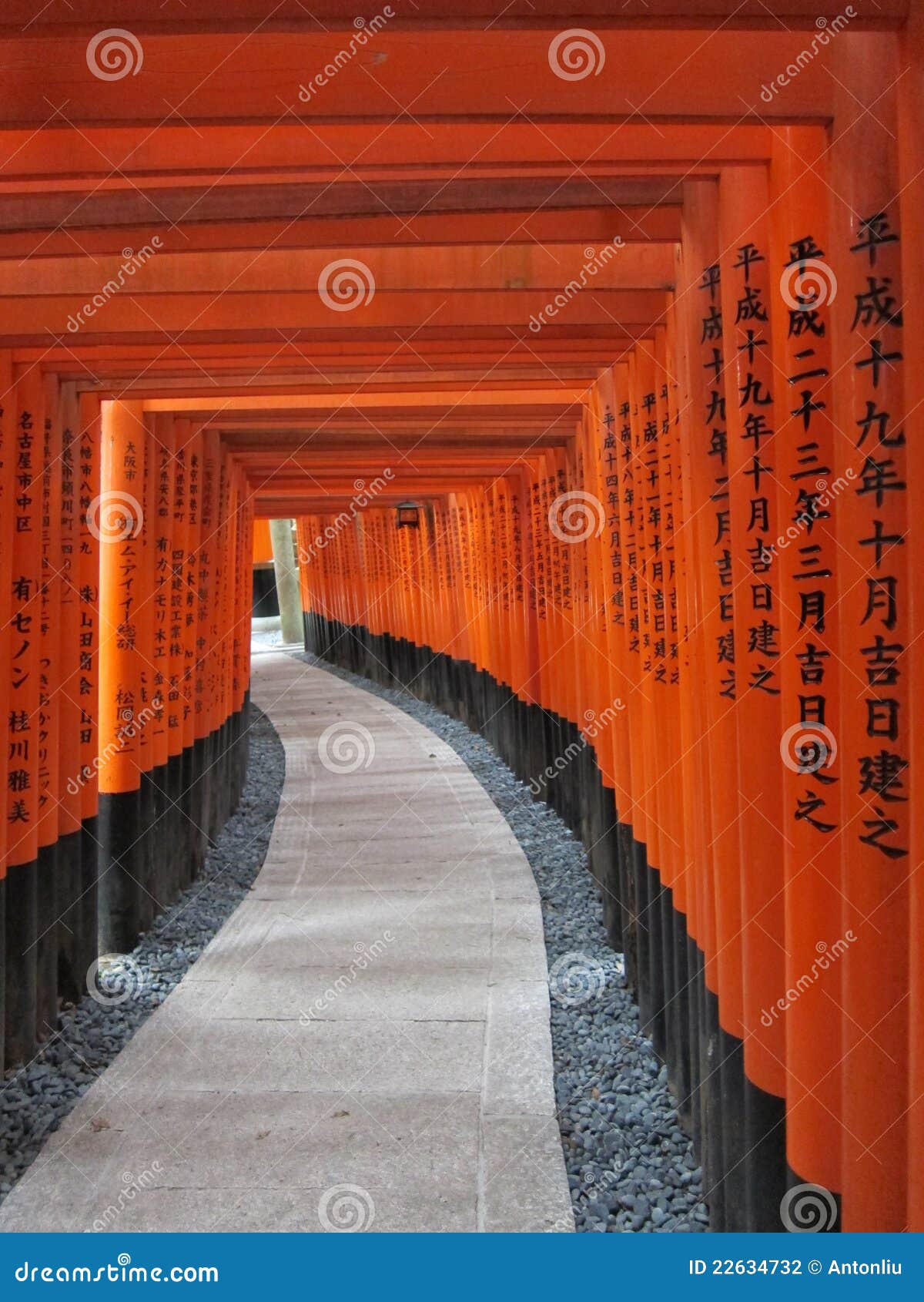Japan Kyoto Temple TORII GATES Stock Photo Image of reflections, world 22634732