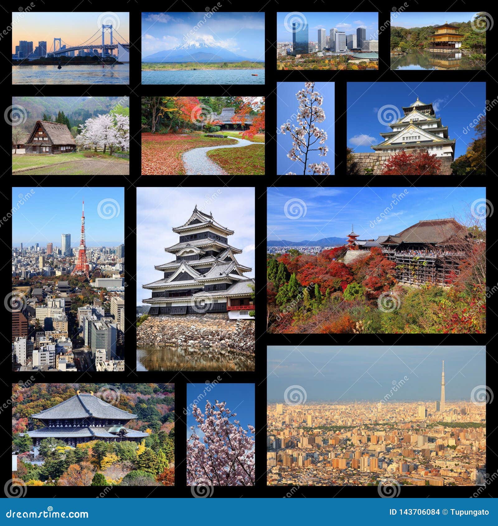Tokyo Japan Landmarks Collage Shot Glass 