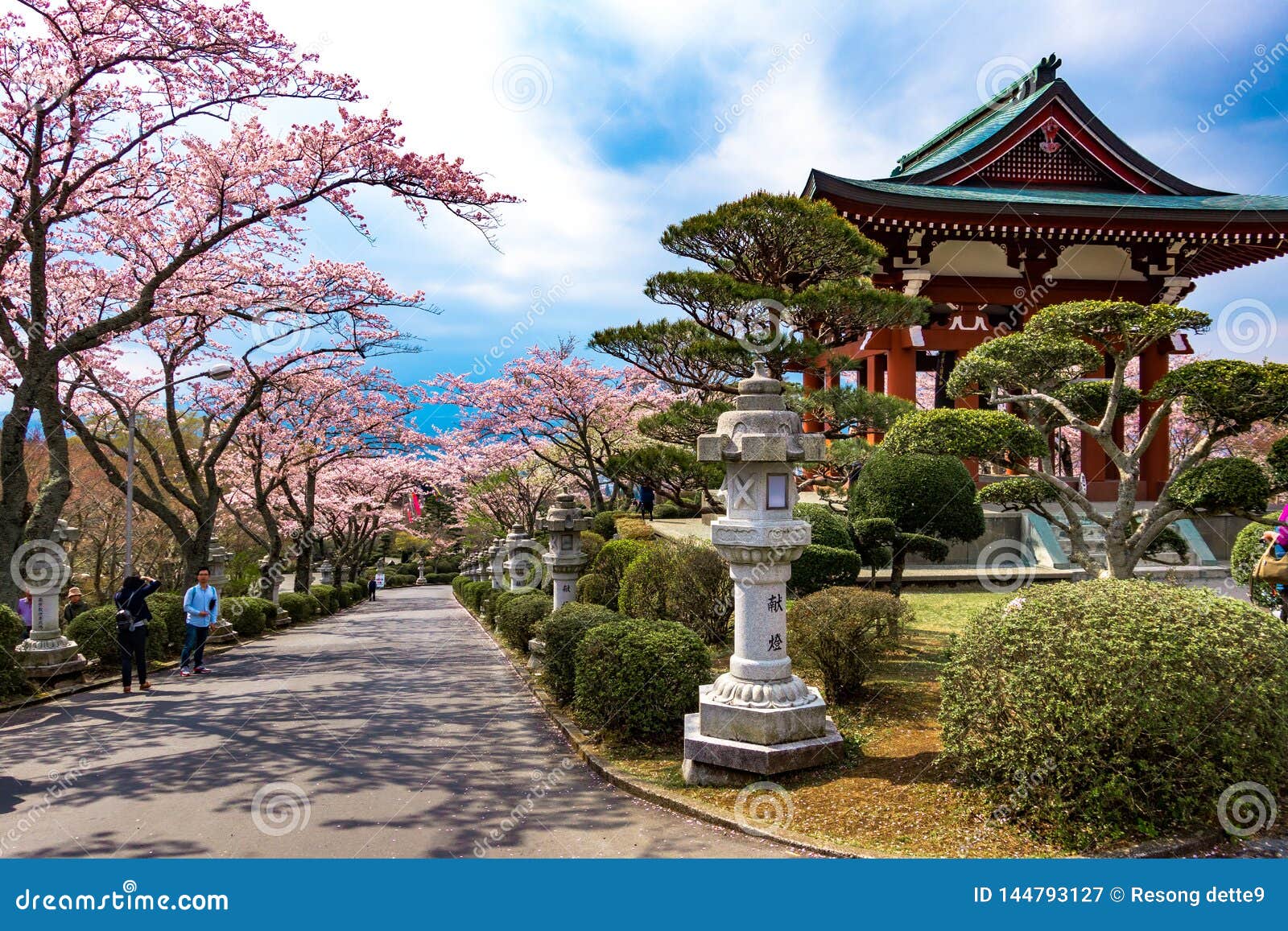 Japan Editorial Photography Image Of Tree Landscape 144793127