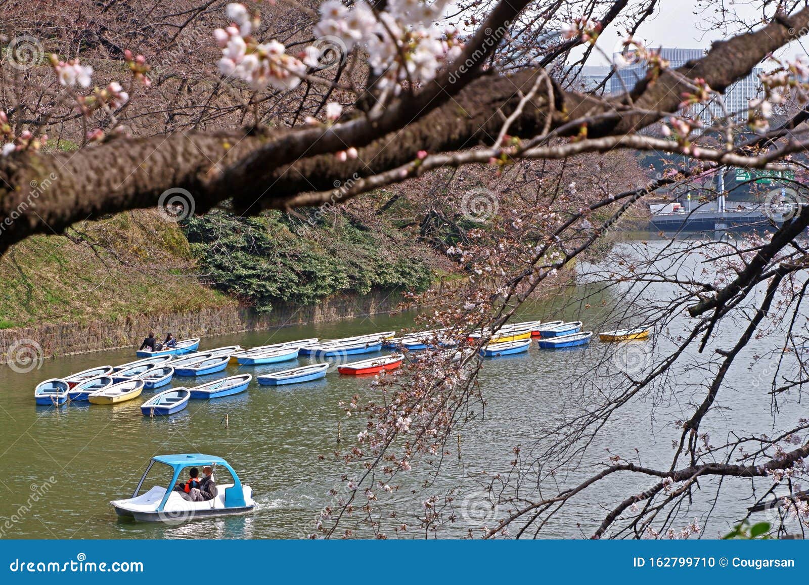 Japan Outdoor Park River with Colorful Sight Seeing Boat in Sunny Day ...