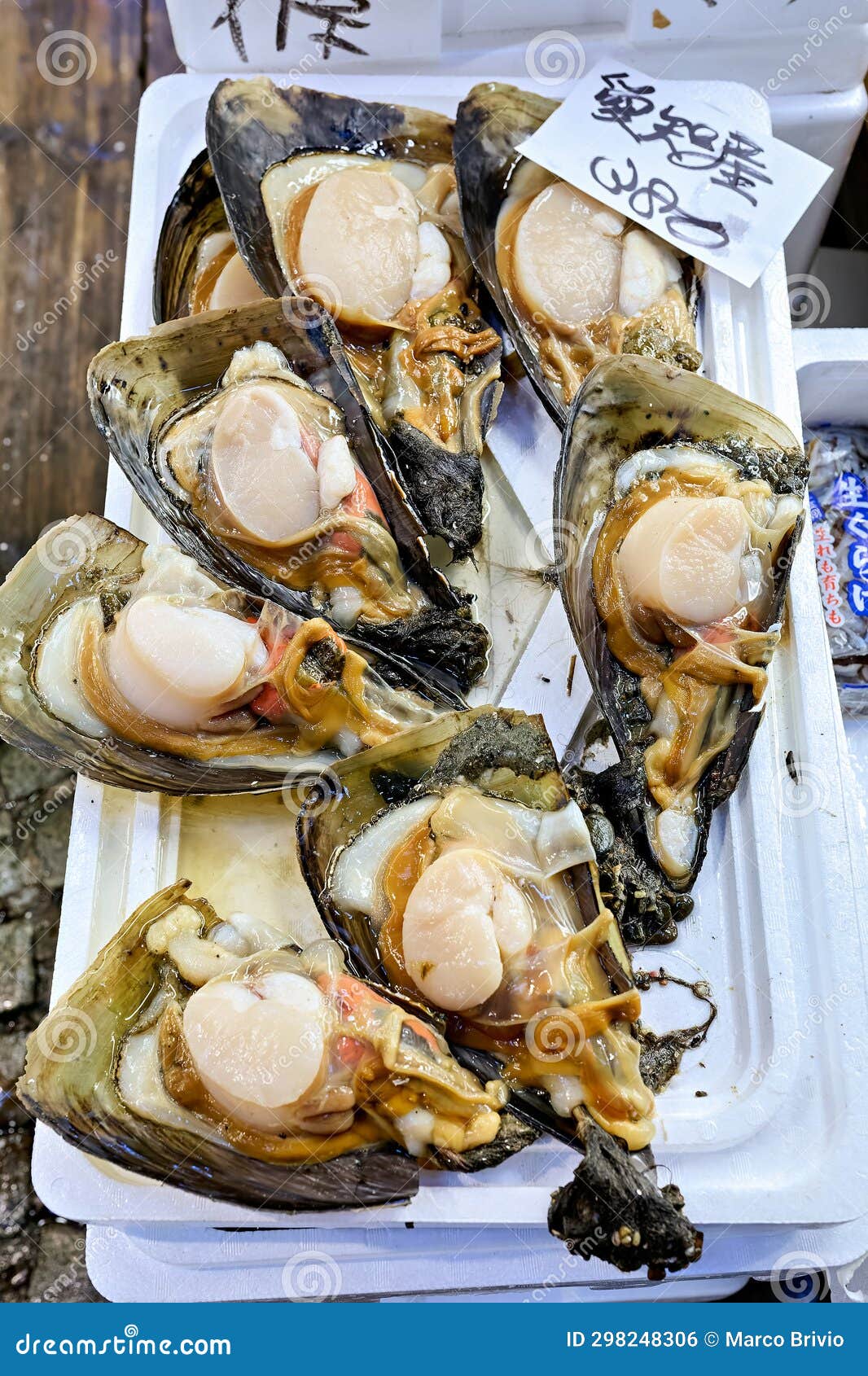 japan. tokyo. the fish market. oysters