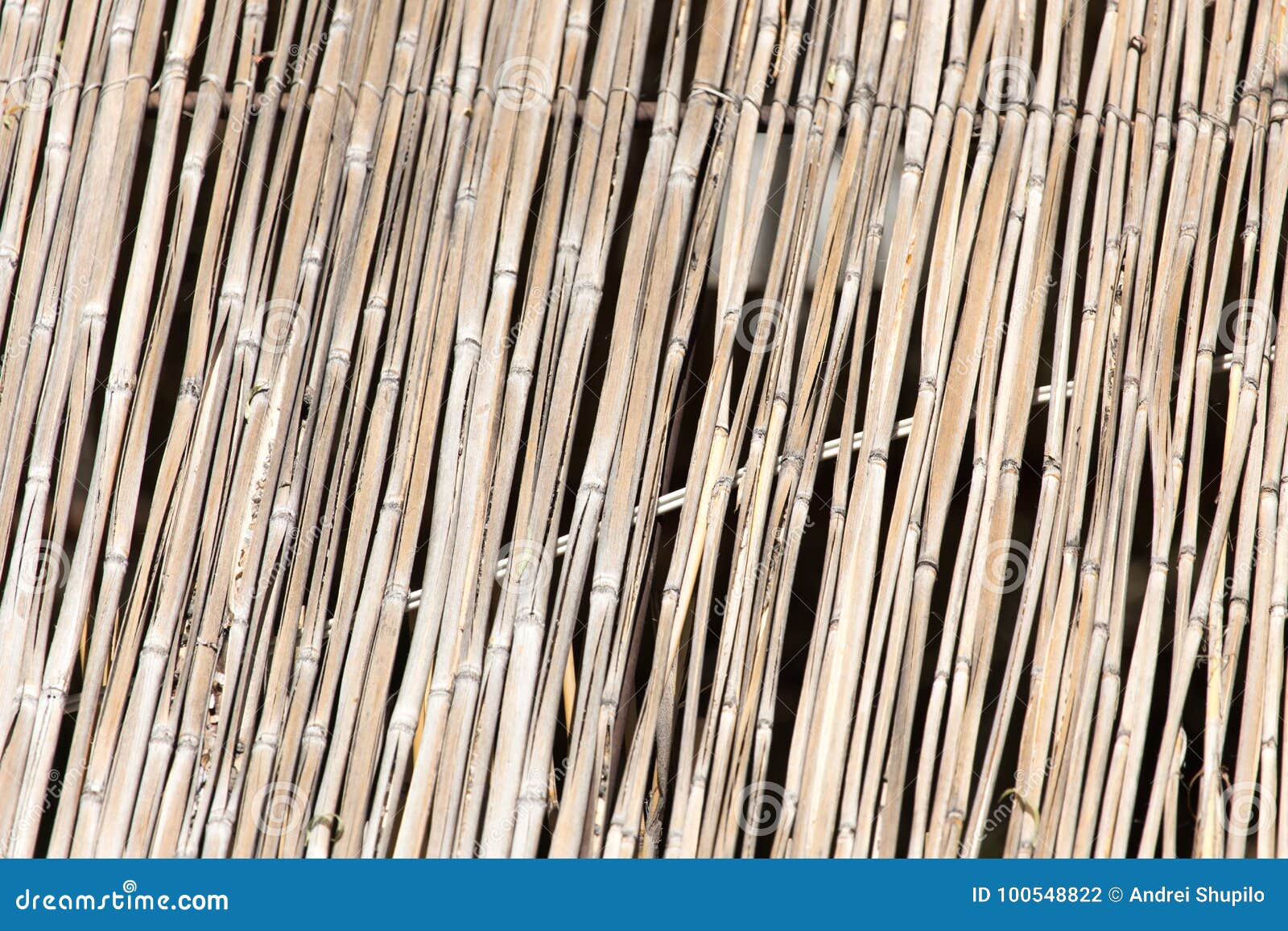  Japanese Bamboo Texture  Good For Background Stock Photo 