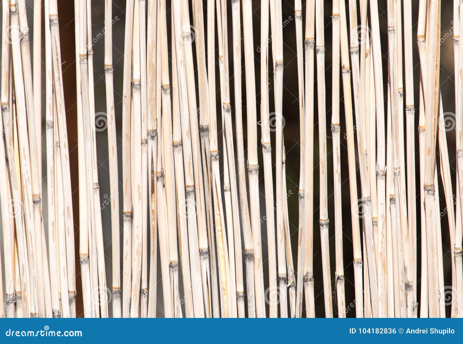  Japanese Bamboo Texture  Good For Background Stock Photo 