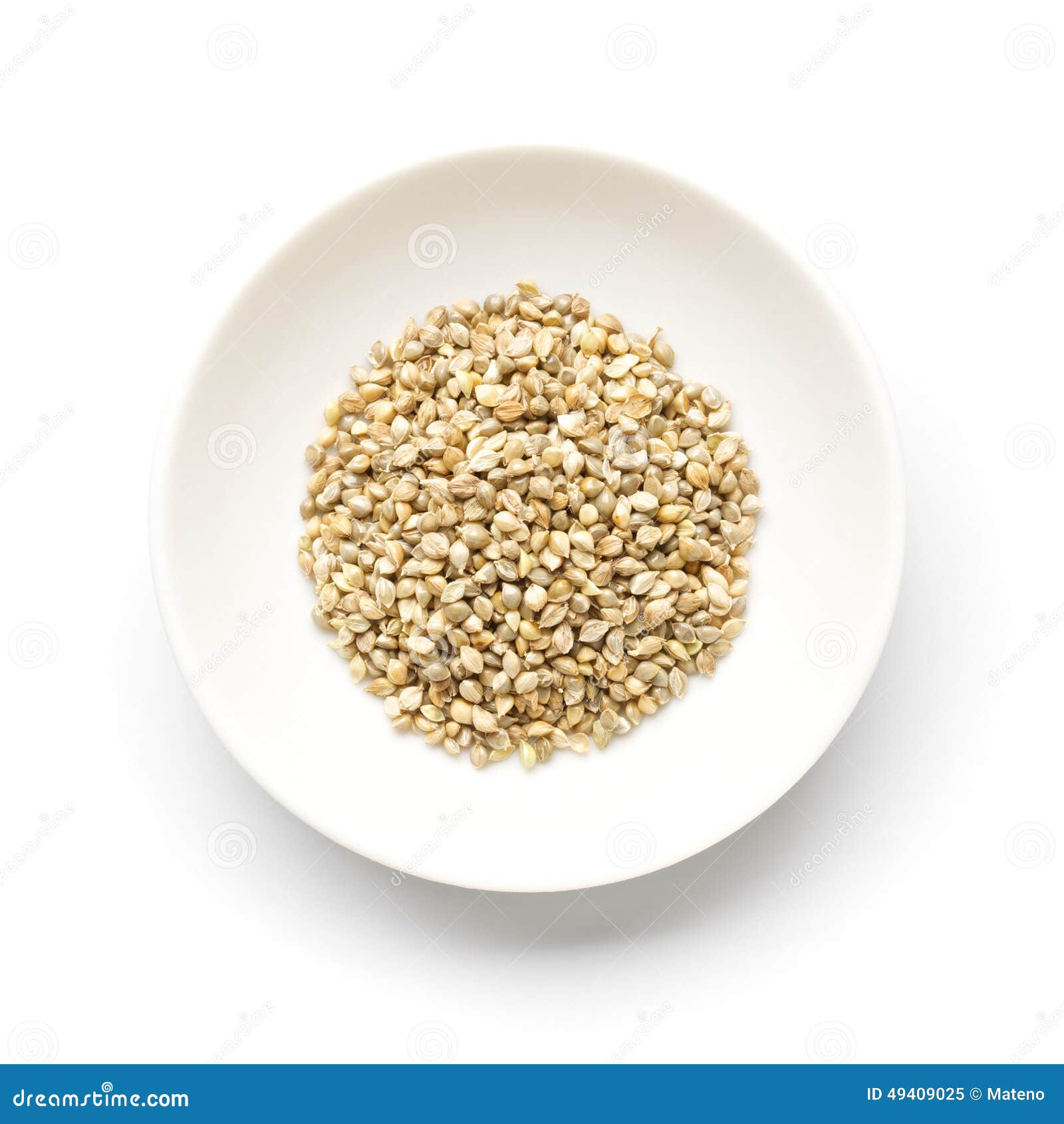 Japanese Barnyard Millet with Husks Stock Image Image of seed, food