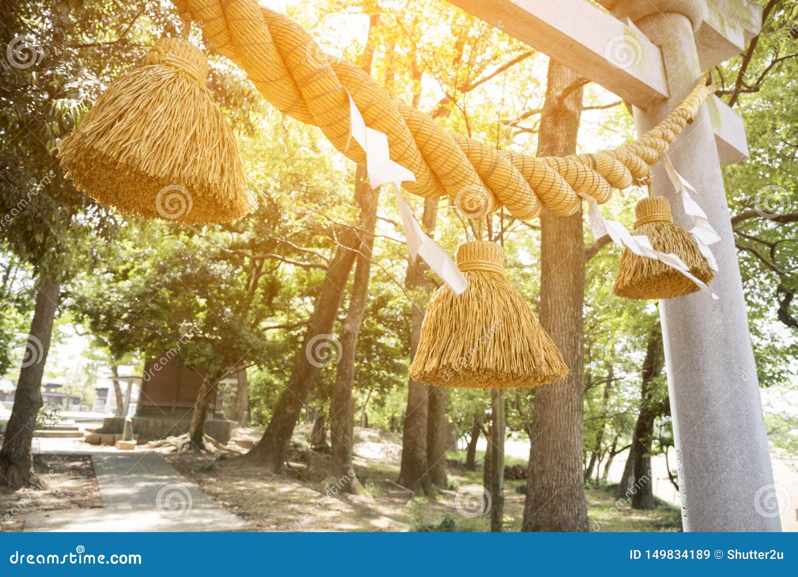 japanese big rope in new year day named & x22;shime-nawa