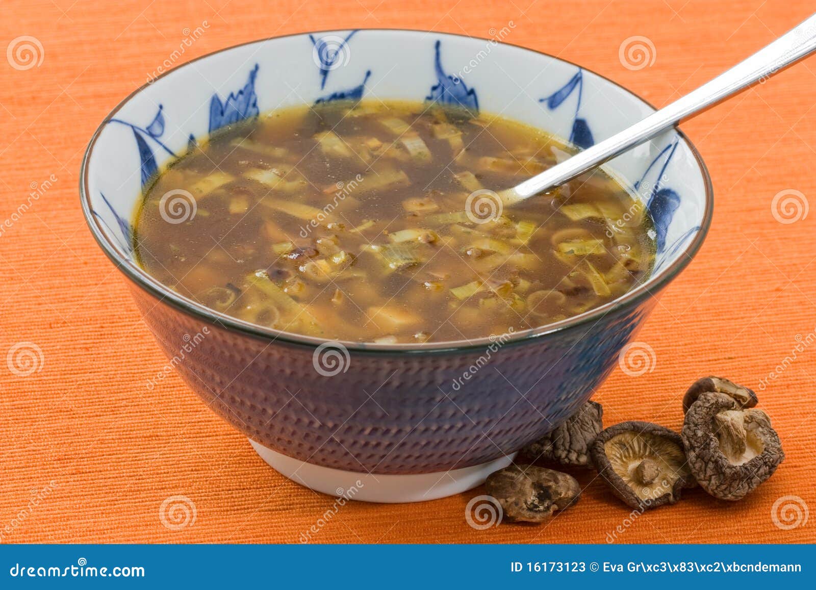 Japanese Broth stock image. Image of shiitake, delicious 16173123