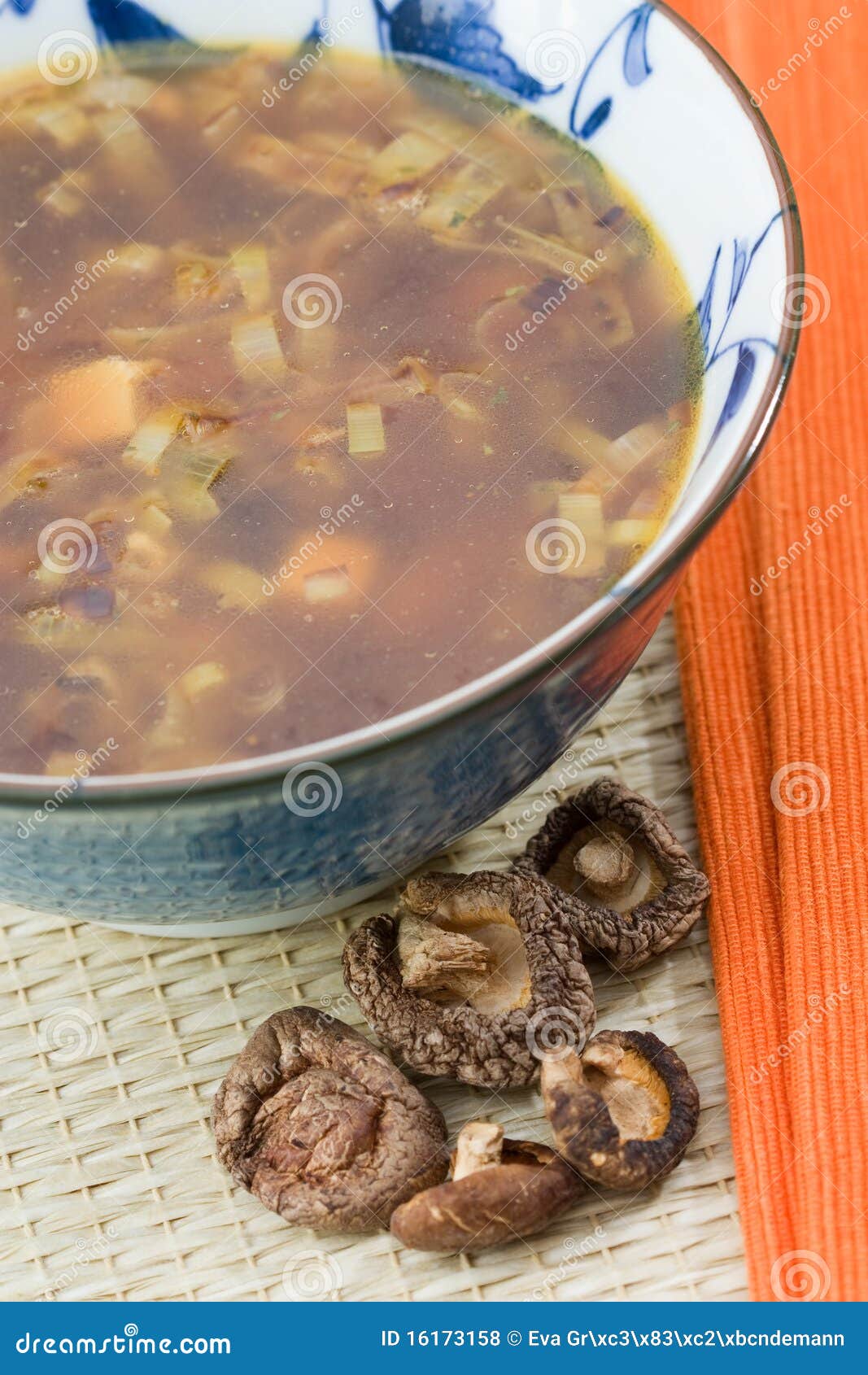 Japanese Broth stock photo. Image of meal, vegetables 16173158