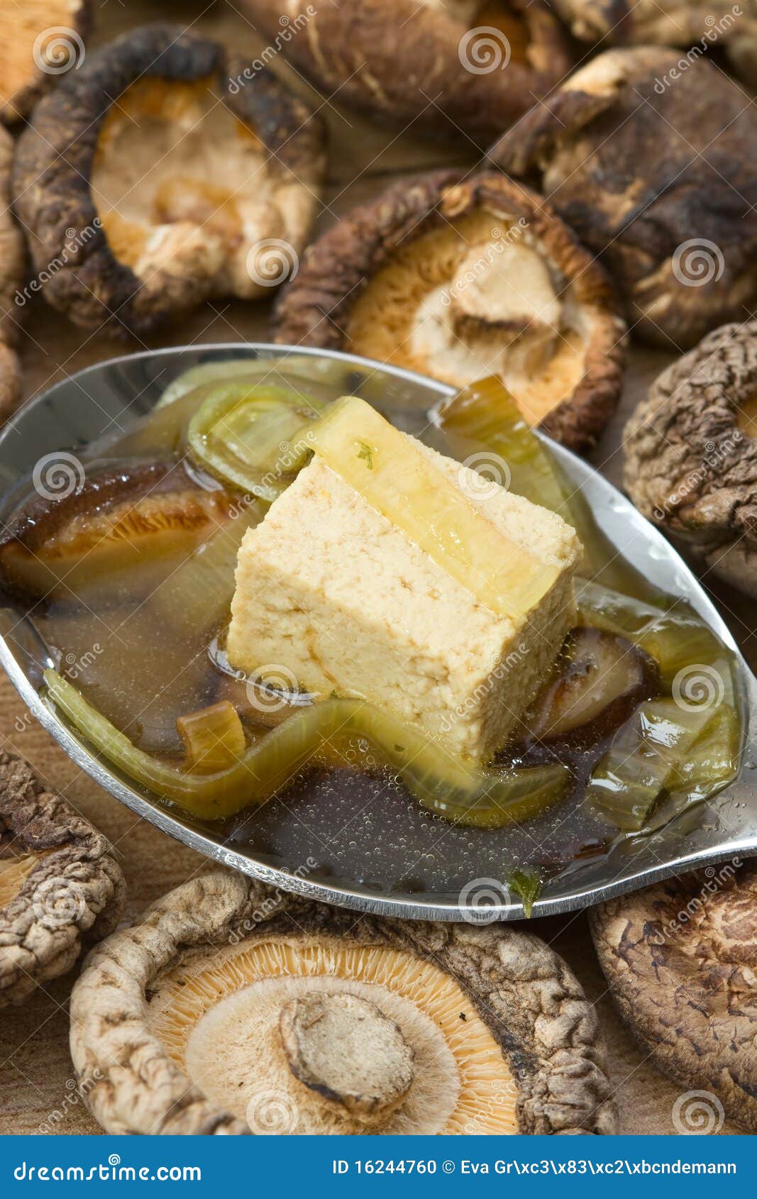 Japanese Broth stock photo. Image of shitake, bean, meal 16244760
