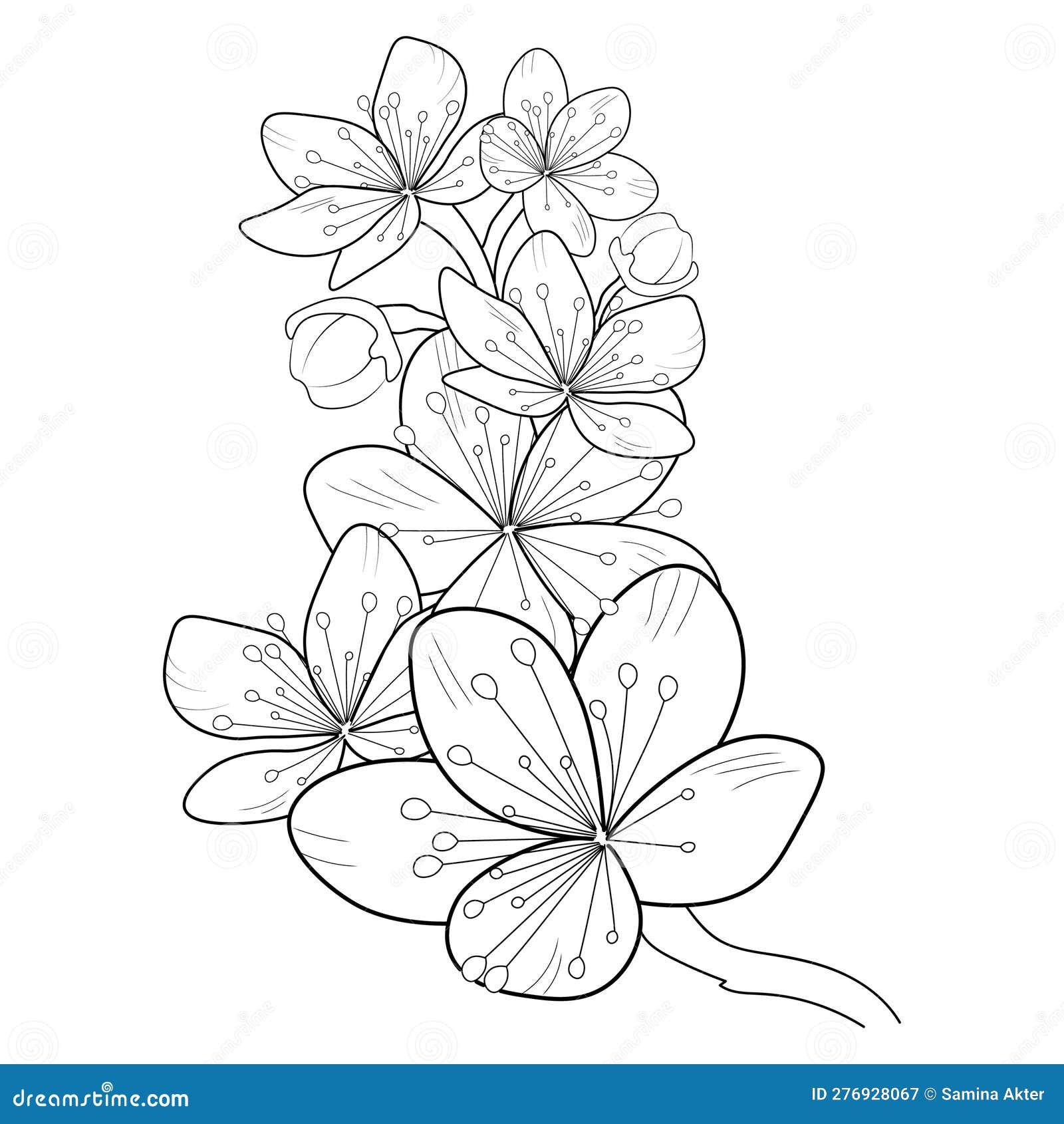My Image 23