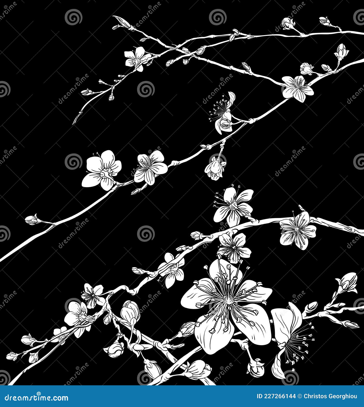 Blossom Japanese Sakura Cherry Flower Pattern Stock Illustration