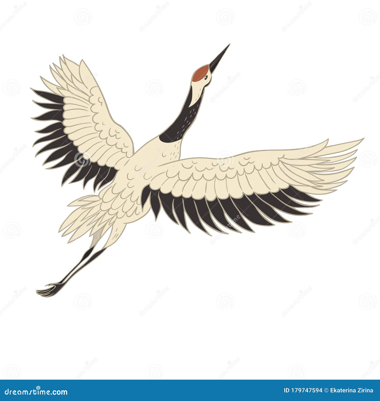 Japanese Crane Bird Isolate On A White Background Vector Graphics