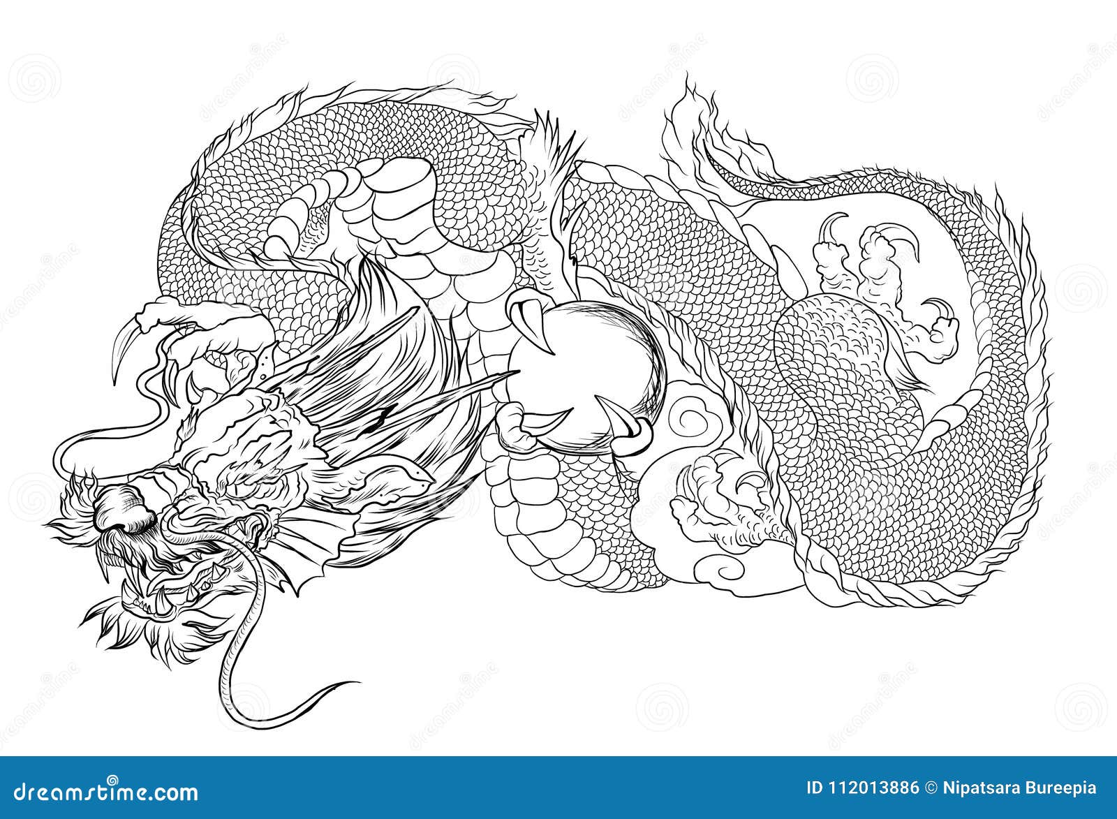 Featured image of post Chinese Dragon Drawing Outline If you want to you can make the mouth of your dragon open and also add a