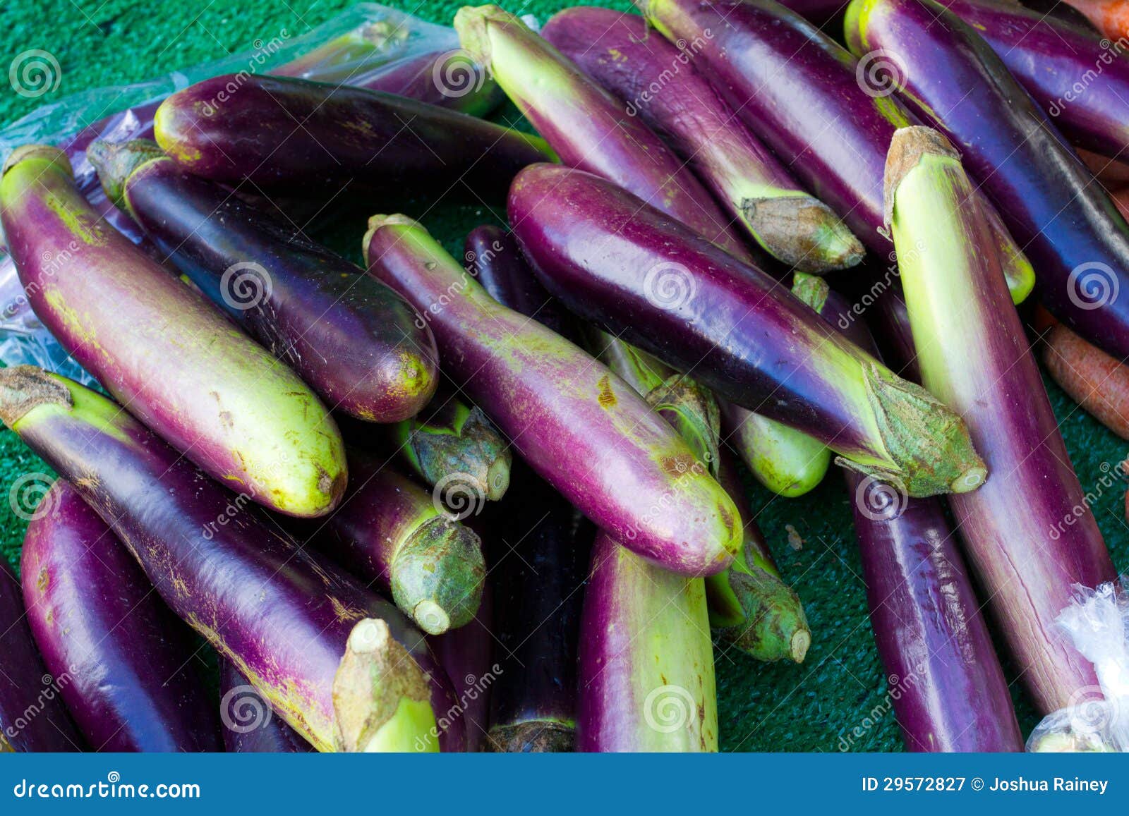 Japanese Eggplant stock image. Image of farm, organic 29572827