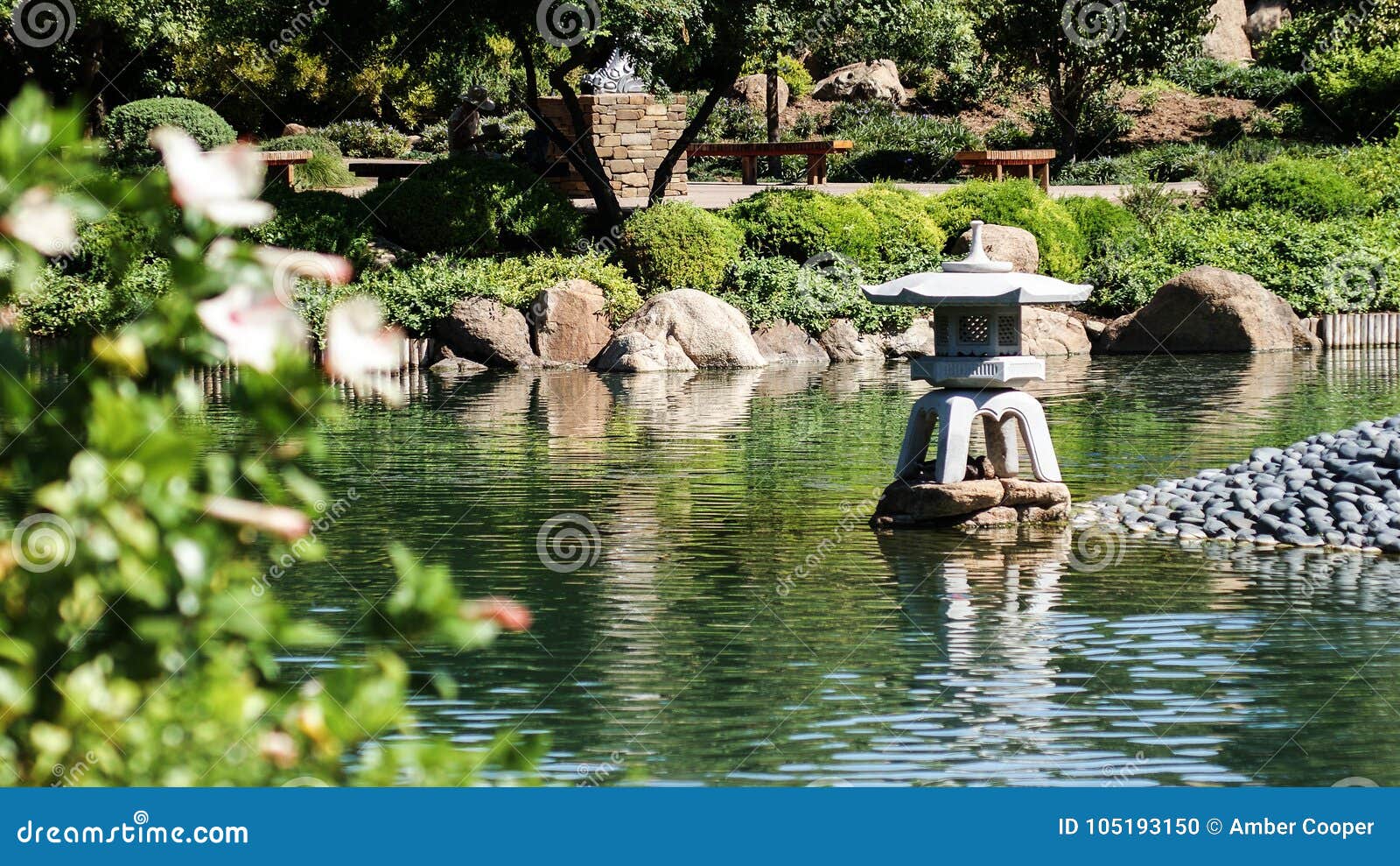 Japanese Friendship Garden Stock Photo Image Of Full 105193150