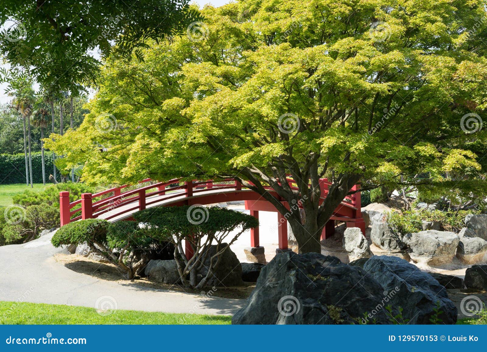 Japanese Design Garden Stock Image Image Of Blue Grass 129570153