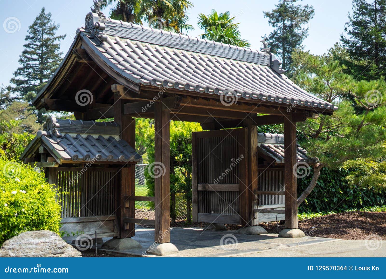 Plants In Japanese Garden Stock Photo Image Of Barley 129570364